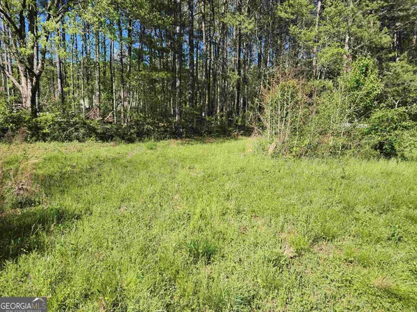 1231 Gratis Rd, Monroe, GA 30656