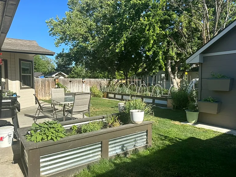 Back yard & garden spaces