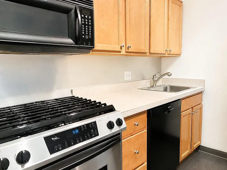 604 S Washington Sq #36-2406 — Photo 8