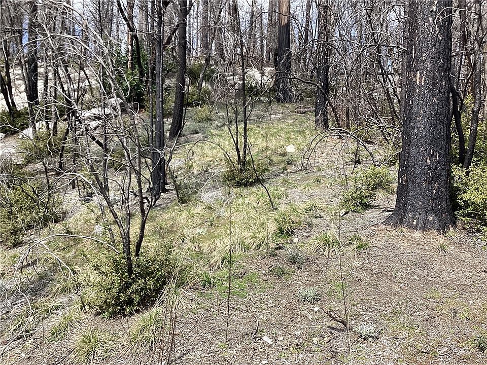 0 Oak Dr 101, Berry Creek, CA 95916 MLS OR23051024 Zillow