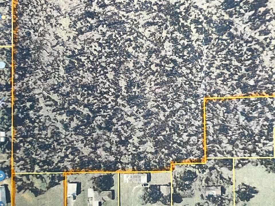 2nd image of 1650 Daigle Rd
