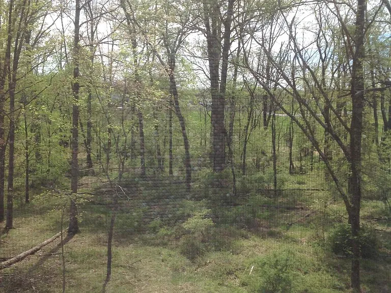 204 Upper Brook Ter — Photo 3