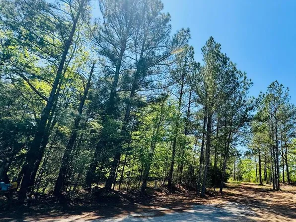 10389 Indian Mound Rd, Ware Shoals, SC 29692