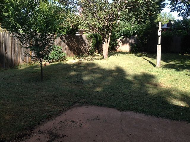 Backyard View 1
