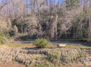 16 Governors View Rd, Asheville, NC 28805
