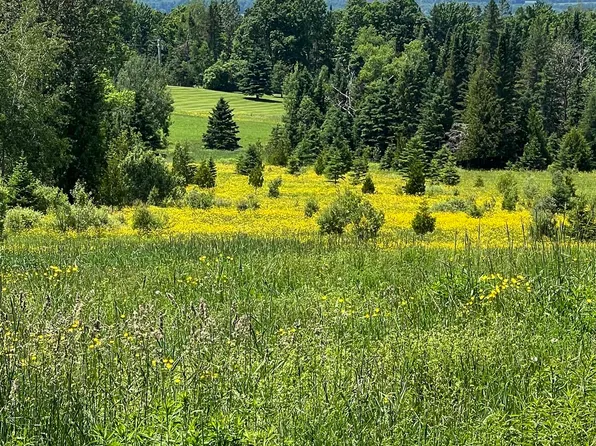 00 Page Hill Road, Holland, VT 05830