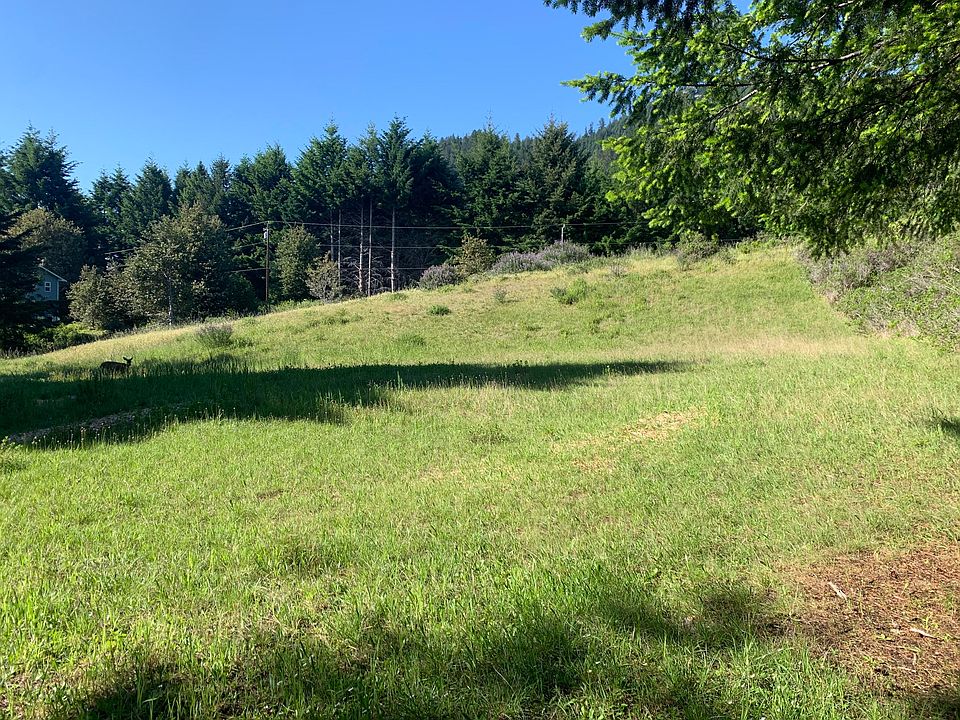 2nd image of 77 Madrone Rd