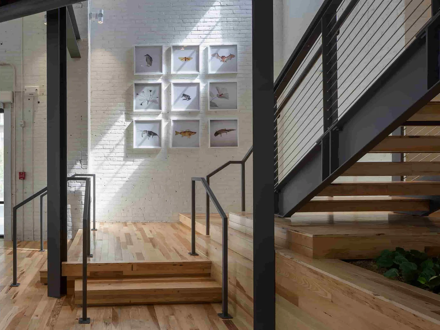 Tinnerman Lofts — Photo 1