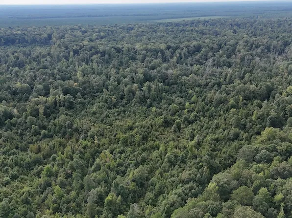 County Road 311 Lot Wp002, Hamburg, AR 71646