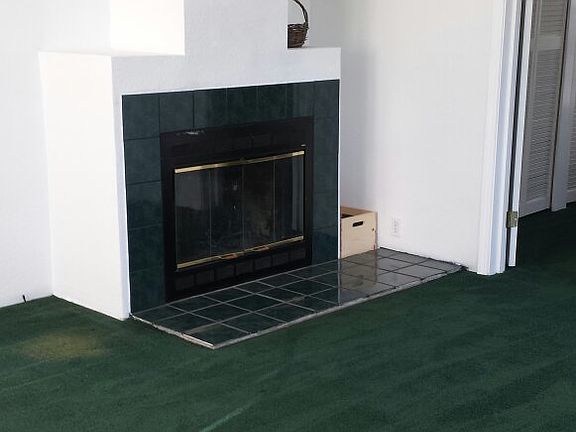 Wood Burning Fireplace