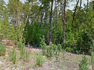 10 Viola Ct, Homosassa, FL 34446