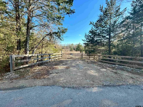 17545 County Road 196, Flint, TX 75762