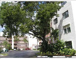 2nd image of 1021 Mockingbird Ln APT 410
