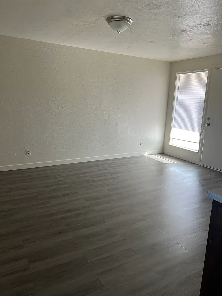 1 bed, $700 — Photo 2