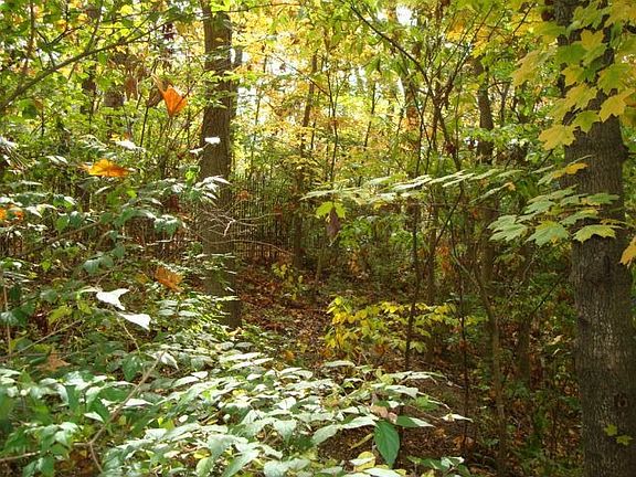 Oversized Wooded Lot