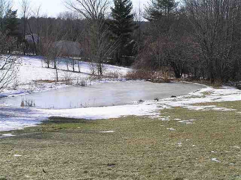 3rd image of 769 GROVESIDE Road