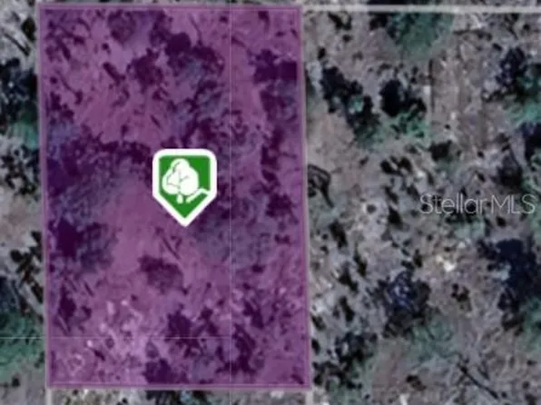 208 Massachusetts Ave Lot 31, Hawthorne, FL 32640