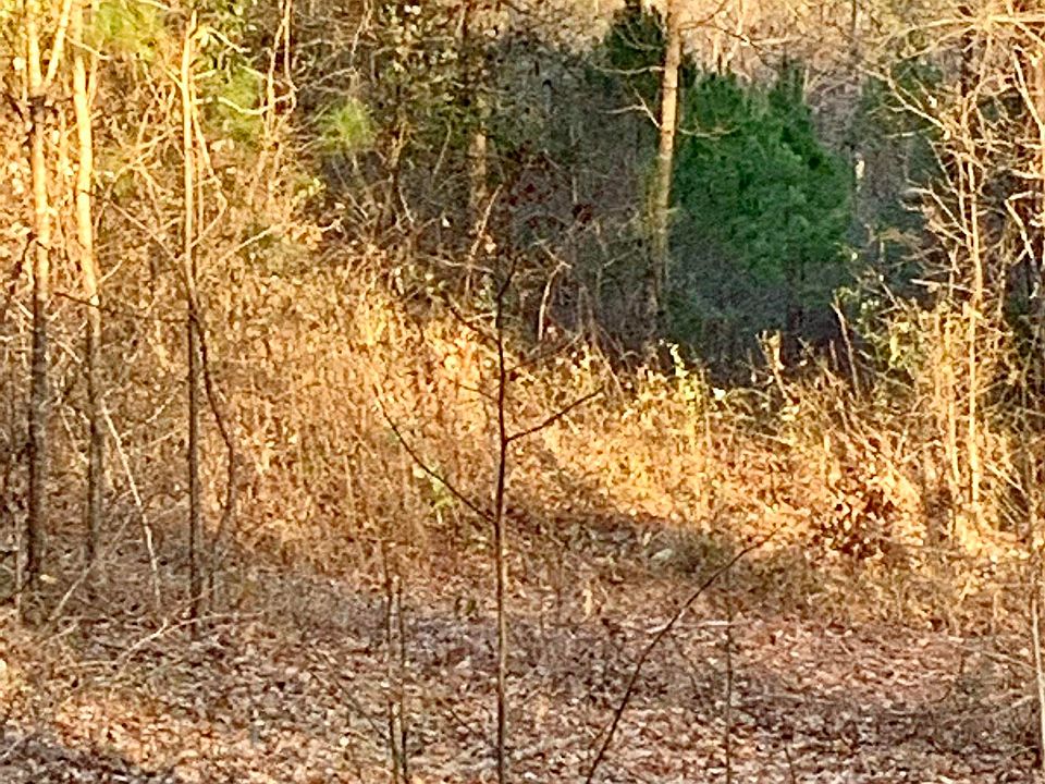 1480 Montpelier Rd, Forsyth, GA 31029 MLS 230700 Zillow