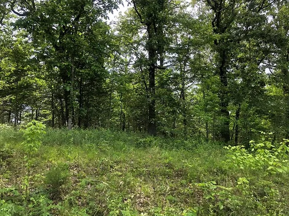 Assiniboin Ln, Cherokee Village, AR 72529