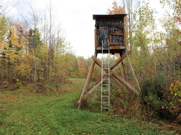 Warren Rd, Fifield, WI 54524