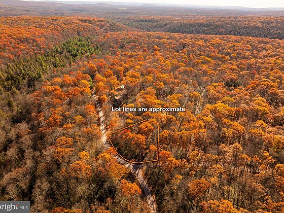 2nd image of 40 W Big Piney Dr