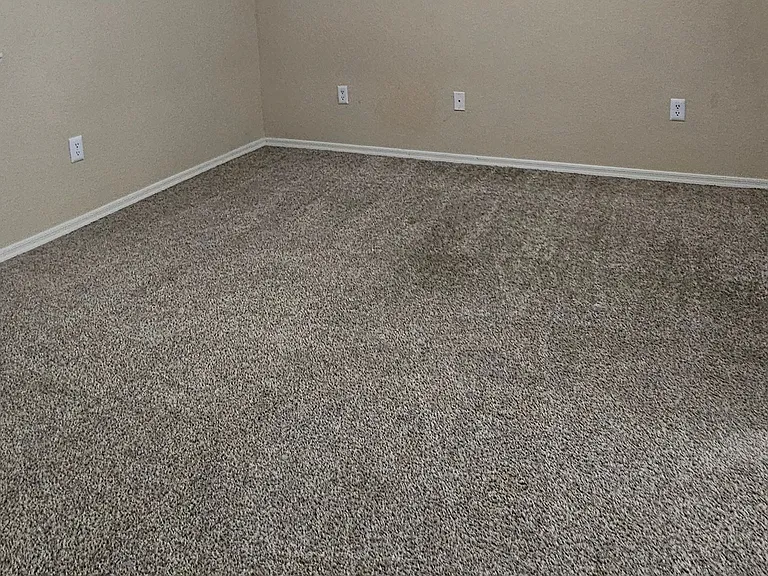 1385 W University Ave #1-7-155 — Photo 3