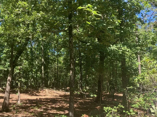 605 Lone Oak Rd, Williford, AR 72482