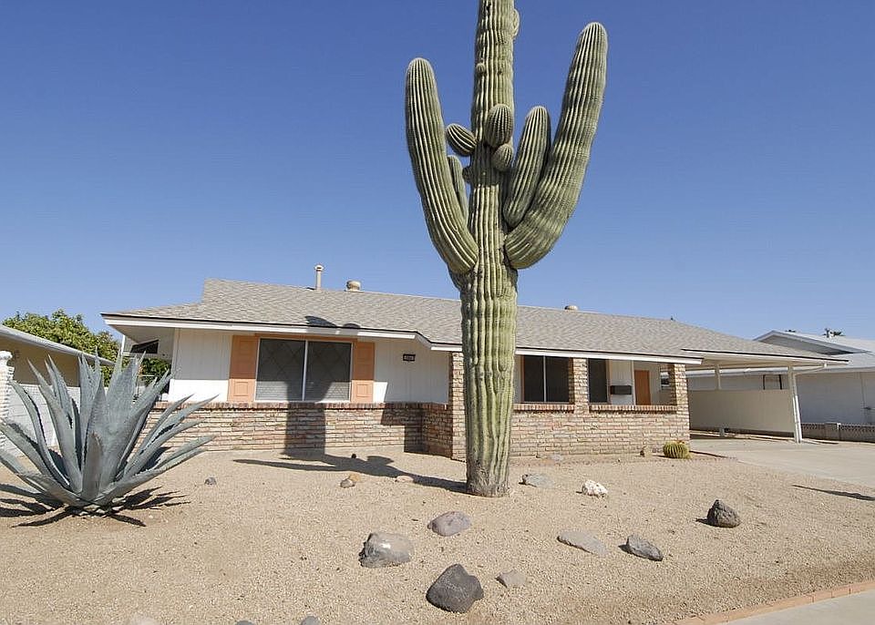 Low maintenance desert landscaping
