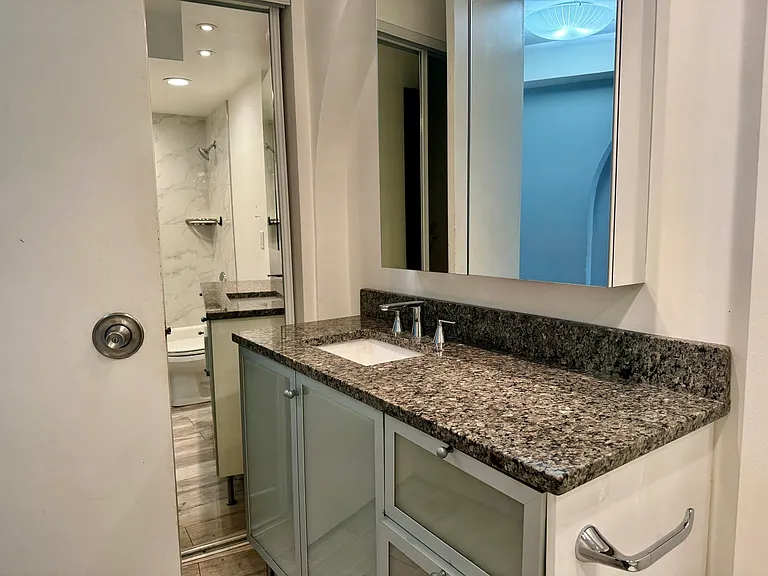 300 N State St #2125 — Photo 10