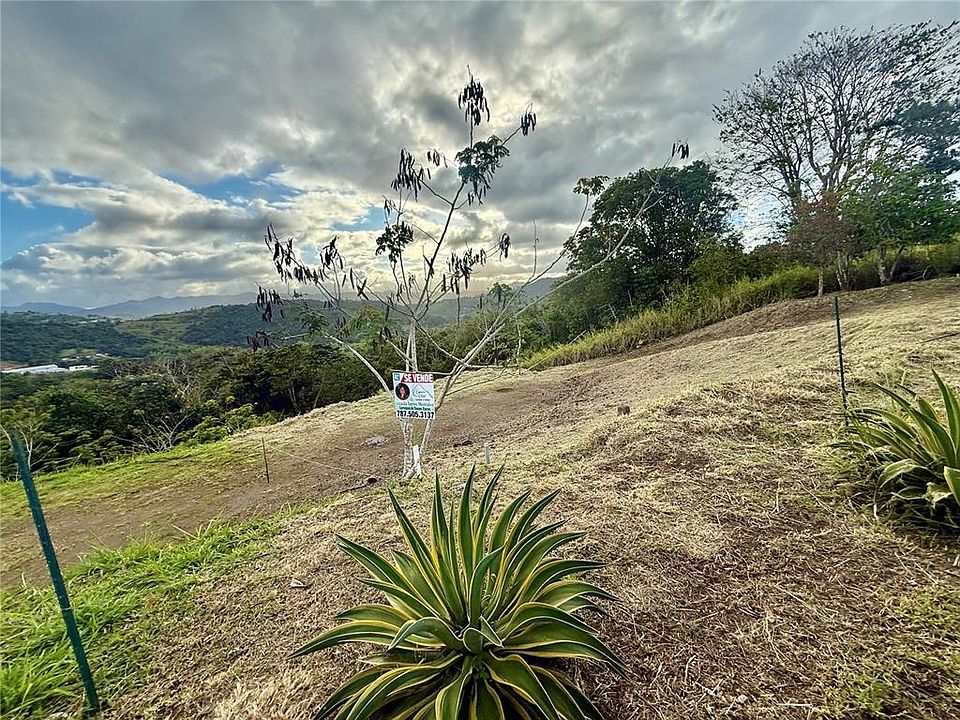 1st image of Sector Campo Bello