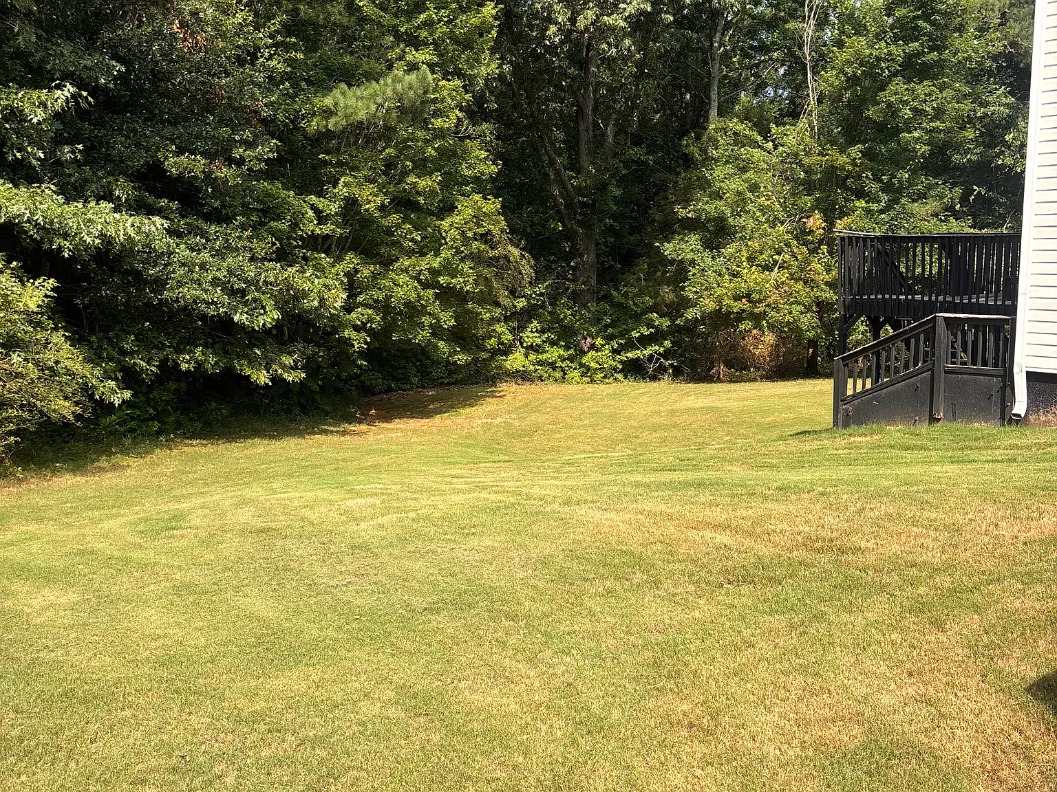 5 bed, 3187 sqft, $3,000 — Photo 3