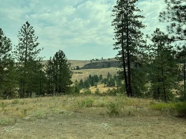 2 Scotch Broom S P Ln, Davenport, WA 99122