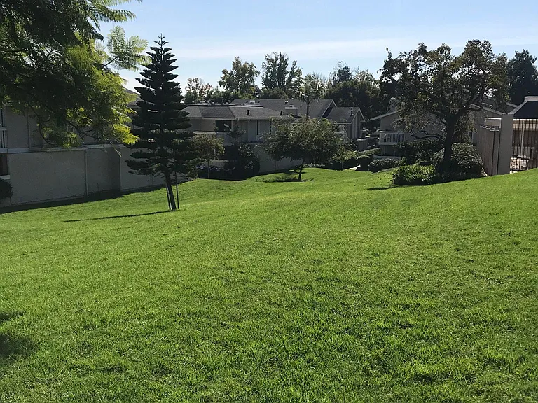 Green belt opposite unit
