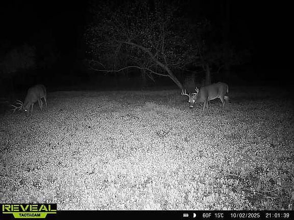 3rd image of 30th Rd