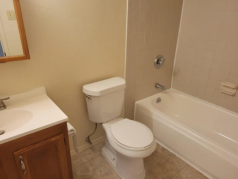Hall bathroom