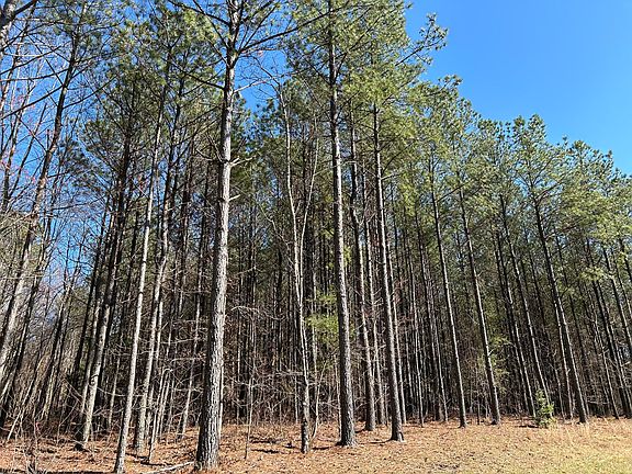 3rd image of 4210 Raulston Falls Rd #Jf-118