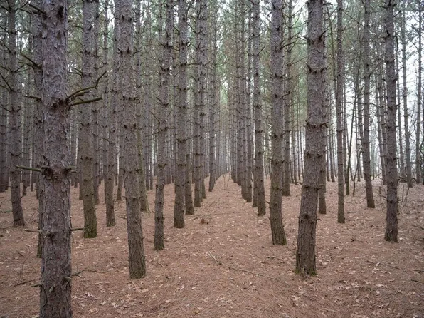 685 17th Drive #6, Arkdale, WI 54613