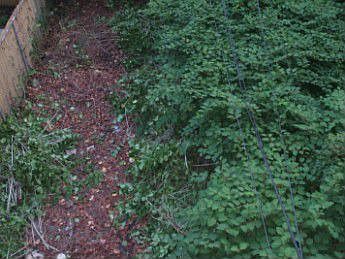 5th image of 454 Greene Ave #A