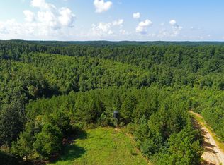 976 Bluewater Rd, Centerville, TN 37033