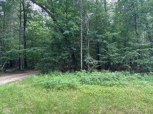 6606 Hill St, Newaygo, MI 49337