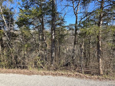 Tbd Honey Lane, Rockaway Beach, MO, 65740