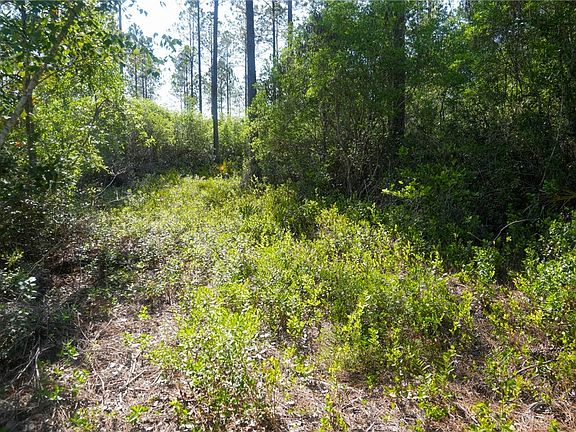 4th image of 5015 Wood Duck Branch Rd
