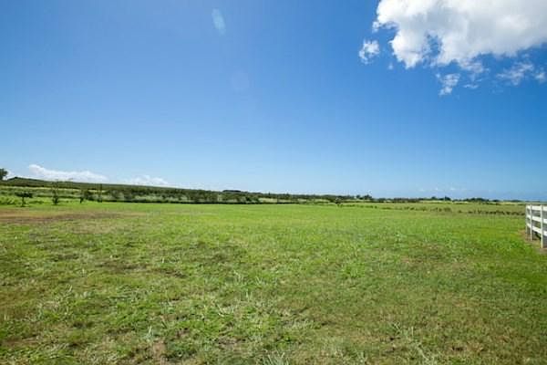 1st image of 1671 Poipu Aina Pl #E