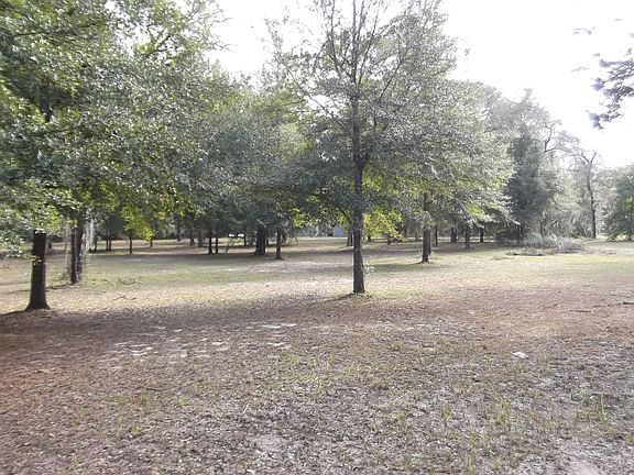 Pasture