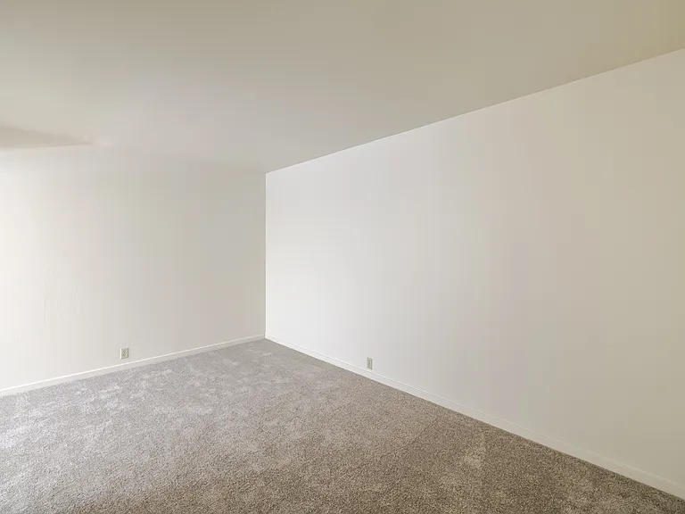 Tiburon Hill Estates — Photo 22