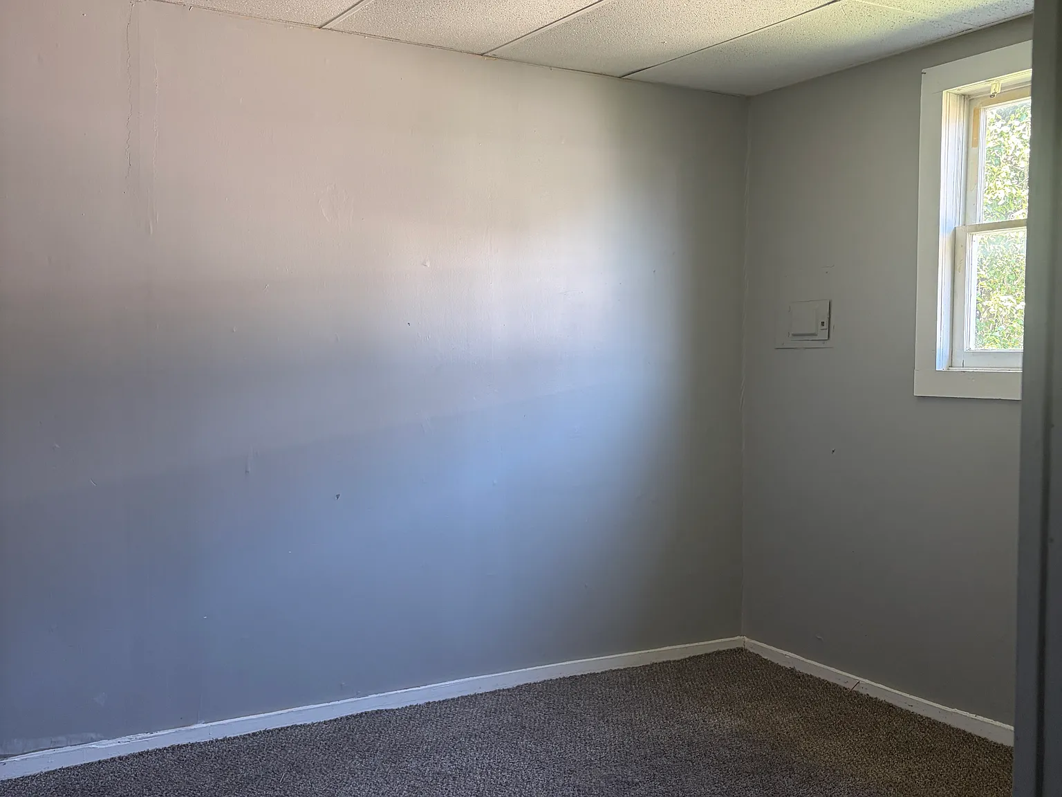 1 bed, $700 — Photo 4