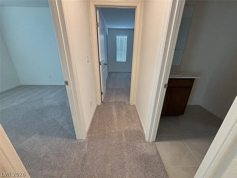 7008 Dandelion Park Ave — Photo 40