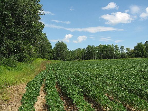 4th image of 3188 County Road 4 Lot 1