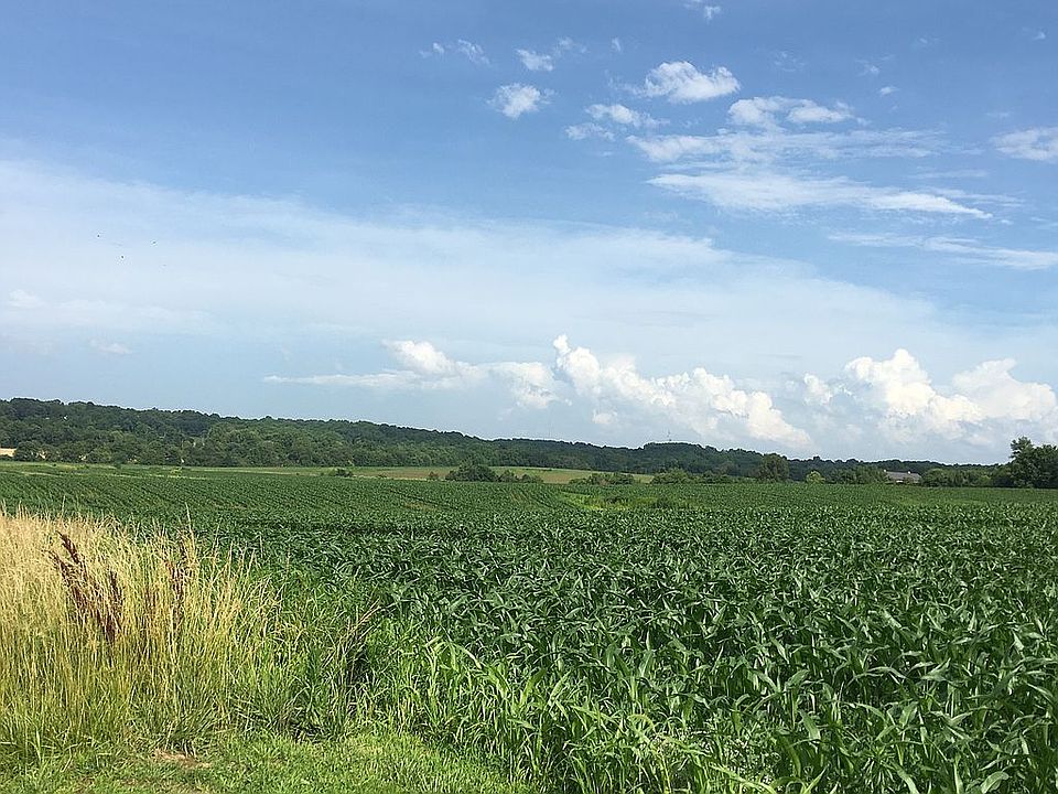 2nd image of 12479 Big Cynthiana Rd