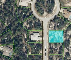 9 Fringetree Ct, Homosassa, FL 34446